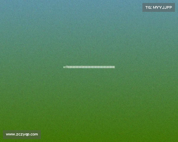 wlf赛事总监肩负重任统筹全球格斗赛事保障公平竞争推动运动文化繁荣发展